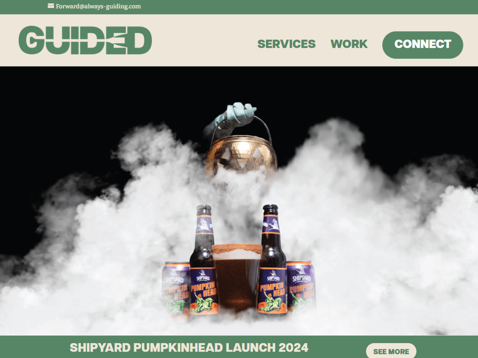 Thumbnail for my website section.  This is the header for the Guided Marketing website