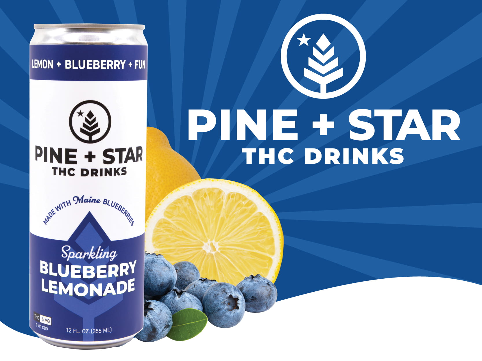 Thumbnail for my website section. This is the header for the Saltwater grille website