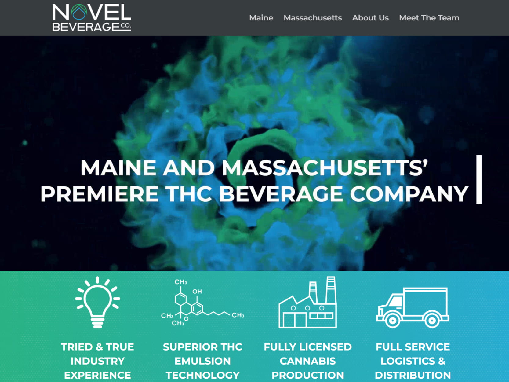 Thumbnail for my website section. This is the header for the Veggie Life Foods website